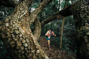 BIB: 
                            <button type="button" onclick="openModal(25393312)" class="btn btn-primary btn-sm float-right btn-popup" data-toggle="modal" data-target=".modal-high-quality">
                        <i class="fas fa-shopping-cart"></i> Add to Cart
                    </button>
                                            <button type="button" onclick="isThisMe(25393312, true)" class="btn btn-success btn-sm float-right btn-popup btn-isme hidden" data-toggle="tooltip" data-placement="bottom" title="นี่คือรูปของคุณใช่ไหม คลิกที่นี่เพื่อเอาเข้าอัลบั้ม">
                        <i class="fas fa-plus"></i> Add to album
                    </button>
                    <button type="button" onclick="isThisMe(25393312, false)" class="btn btn-warning btn-sm float-right btn-popup btn-isnotme hidden">
                        <i class="fas fa-ban"></i> Remove from album
                    </button>